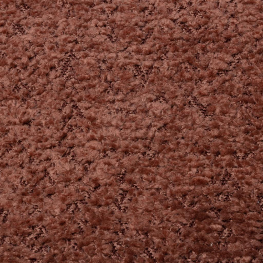 Rose Boucle