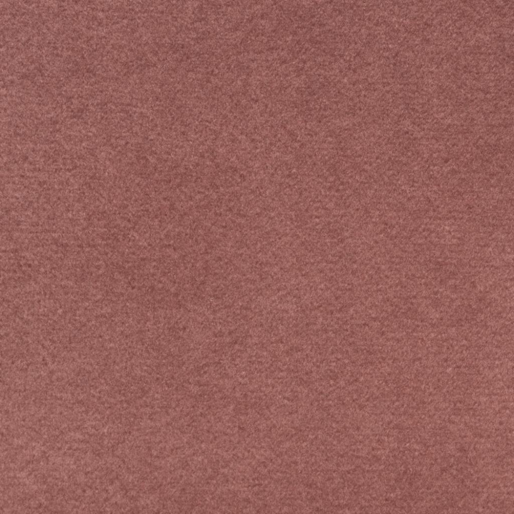 Rose Plush Velvet 